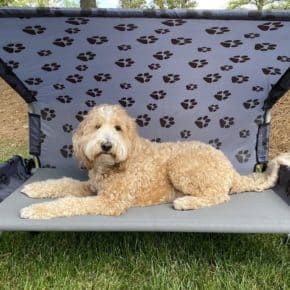 Dog Bed Large - Mobiler Schlafplatz für Hunde komplett aufgebaut