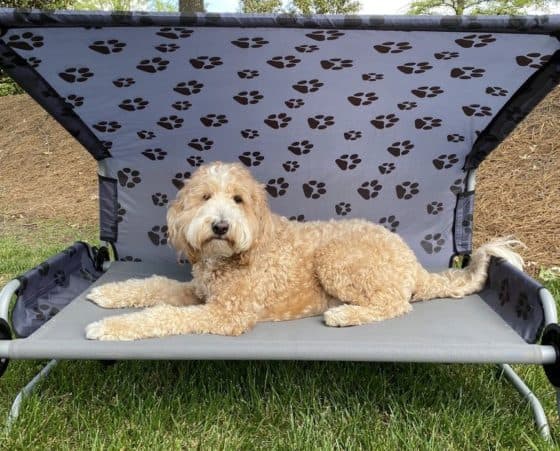 Dog Bed Large - Mobiler Schlafplatz für Hunde komplett aufgebaut